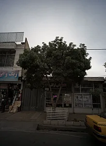 پوشاک زنان و بچه گانه