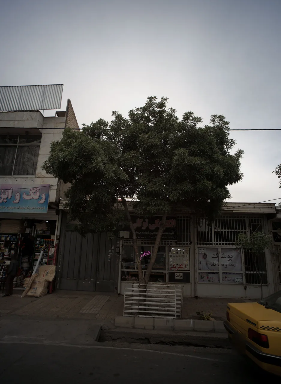 پوشاک زنان و بچه گانه