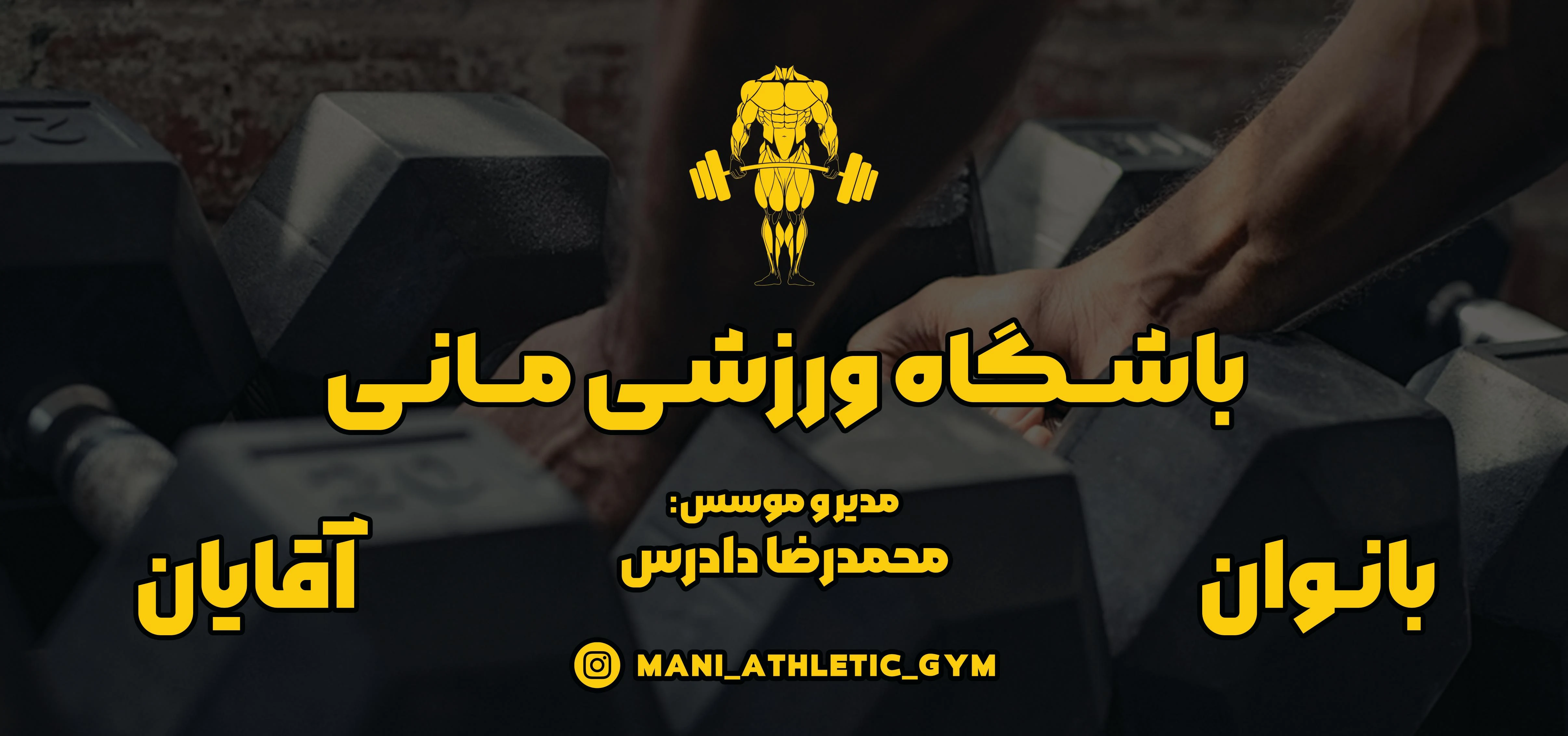 باشگاه ورزشی مانی