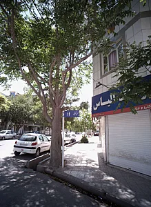 پوشاک الیاس