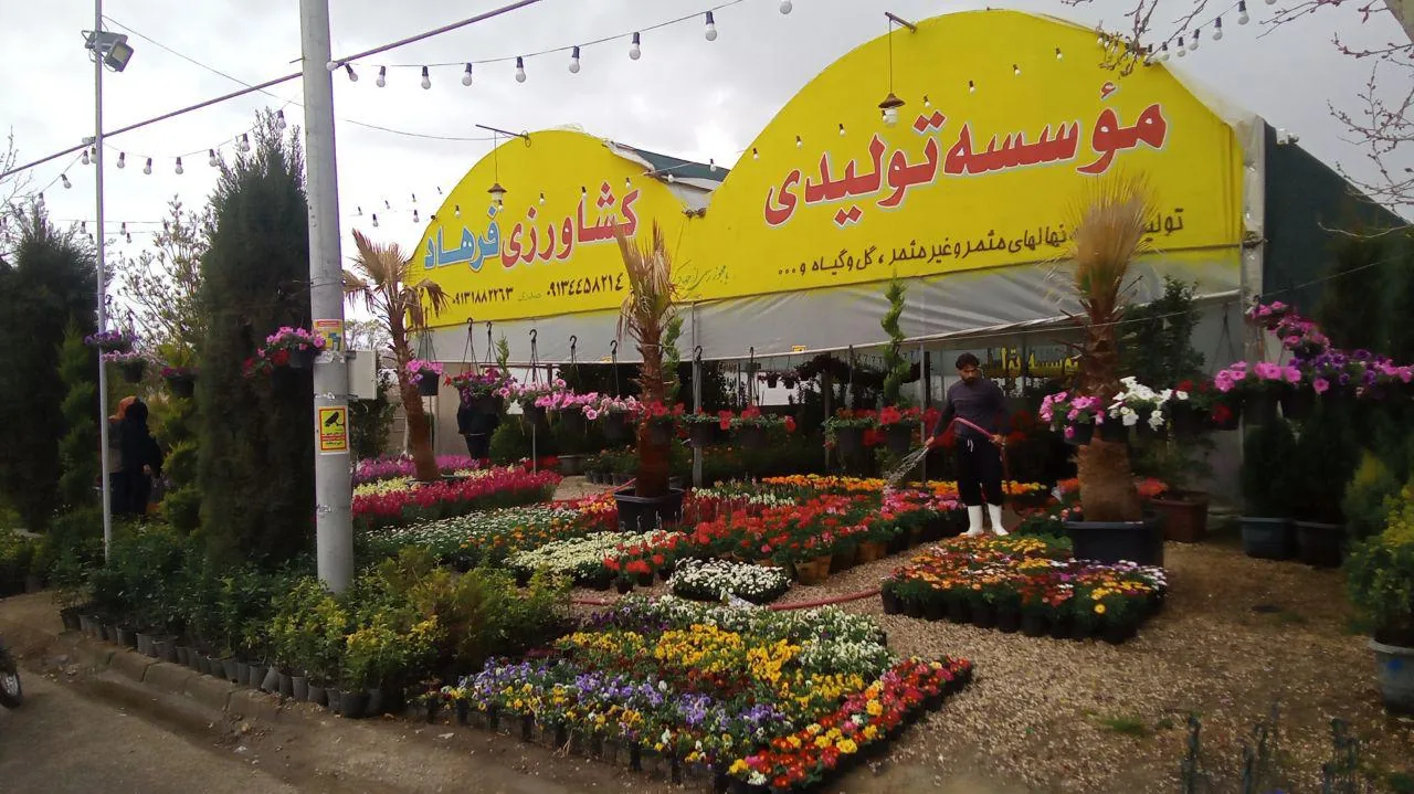 موسسه تولیدی کشاورزی فرهاد - تصویر 4