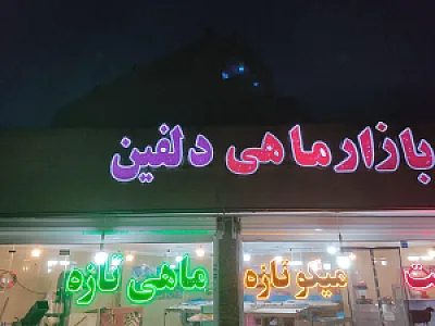 گوشت و ماهی فروشی دلفین