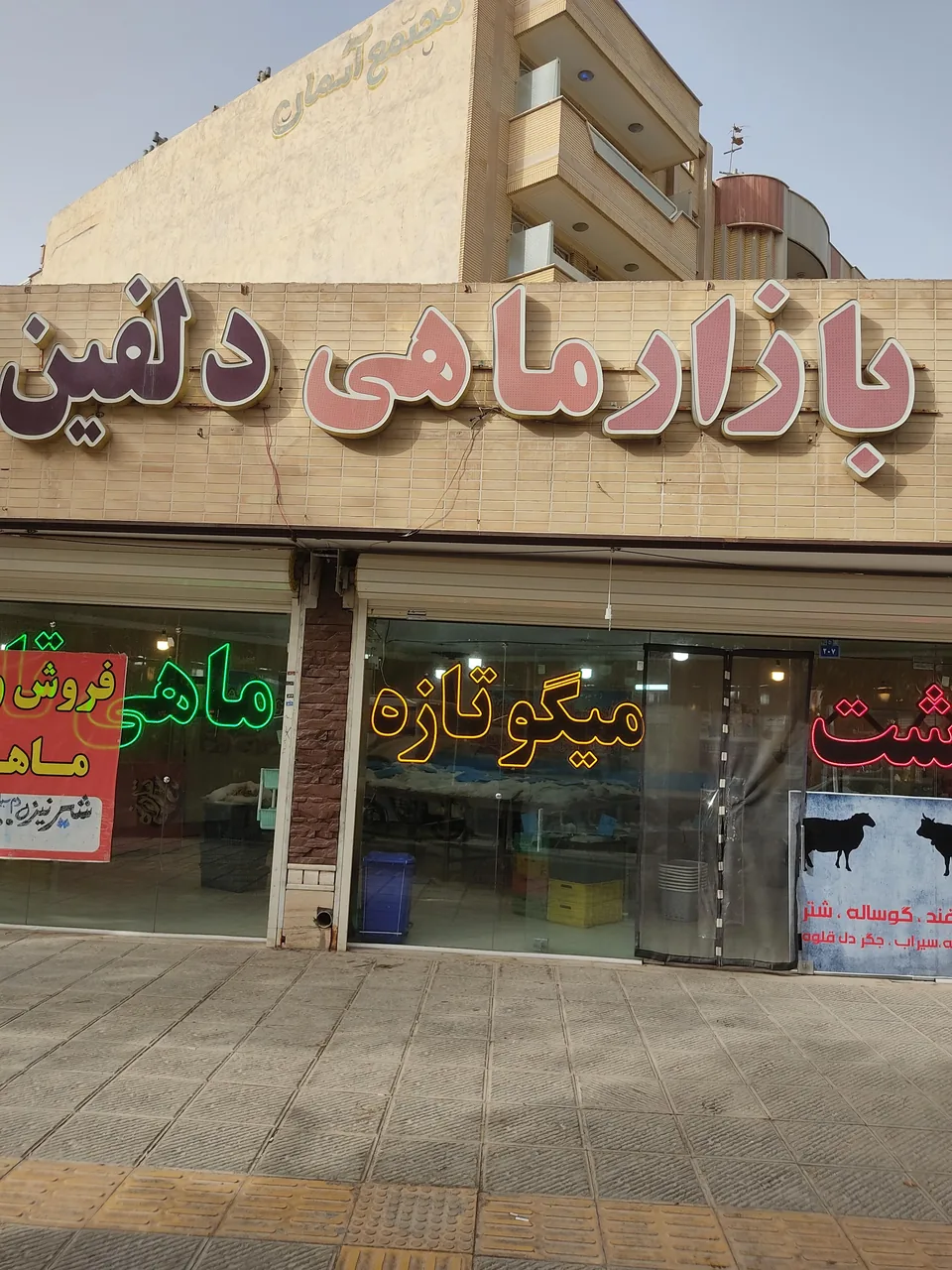 گوشت و ماهی فروشی دلفین - تصویر 2