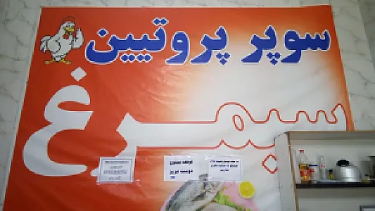 پخش مرغ امید