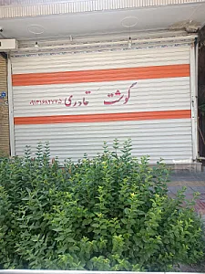 پروتئین سلطان