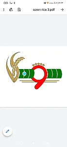 برنج سرای سورن