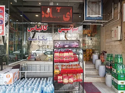 پروتئین یگانه سید محسن ایوبی