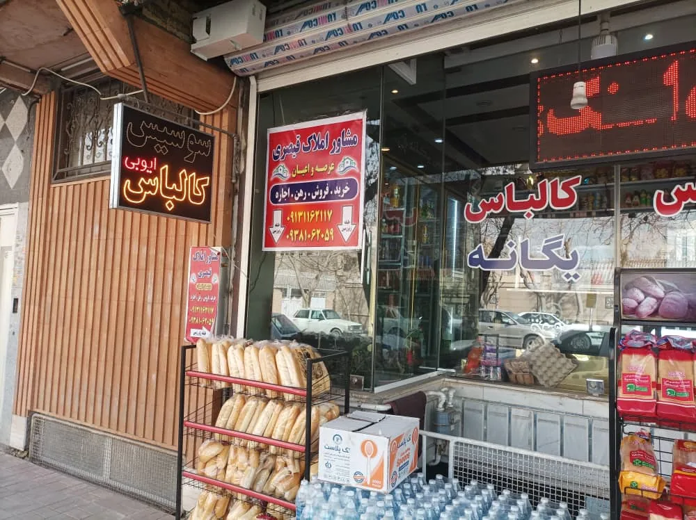 پروتئین یگانه سید محسن ایوبی - تصویر 3