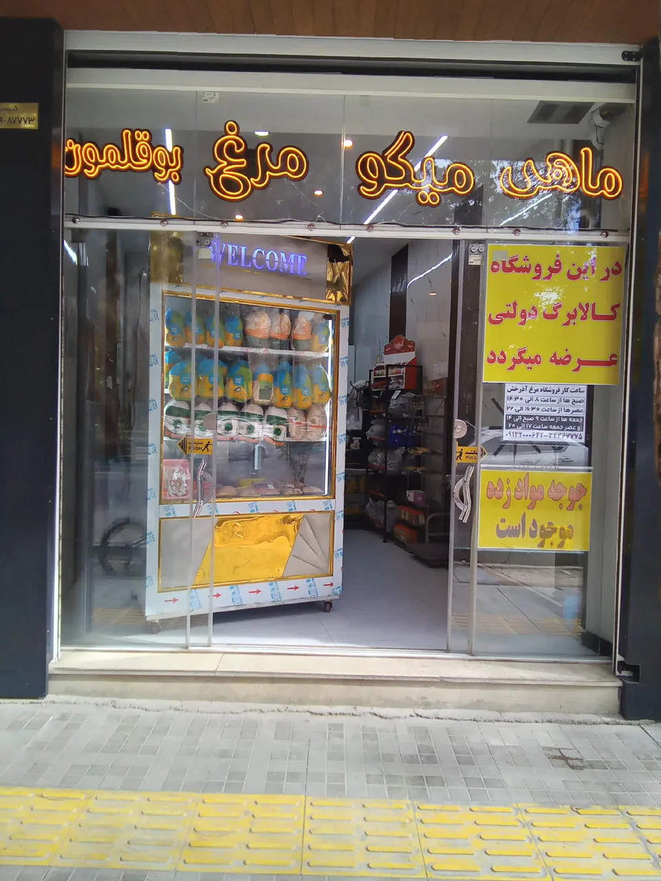 مرغ آذرخش - تصویر 3