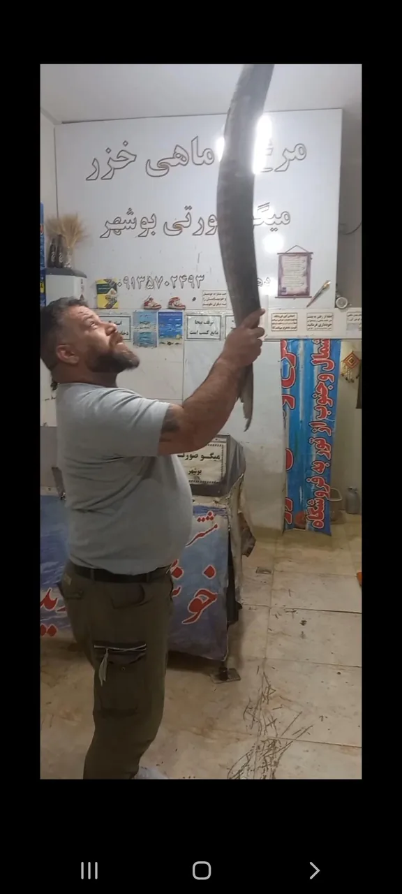 ماهی ومیگو خزر دهقان