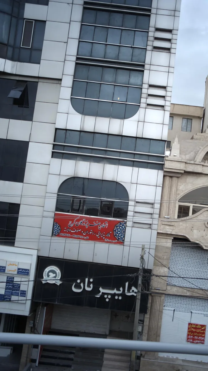 فیزیوتراپی حامی