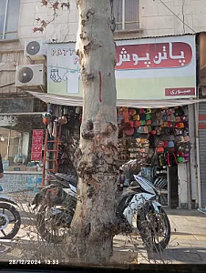 گالری تاپ