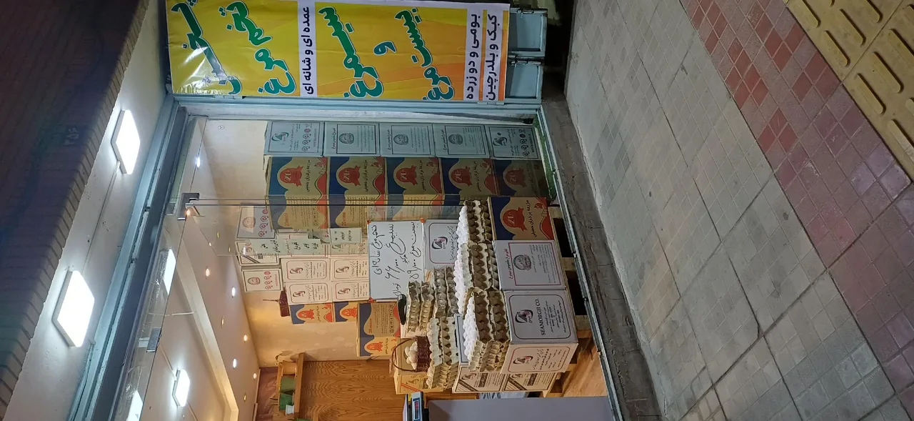 پخش تخم مرغ