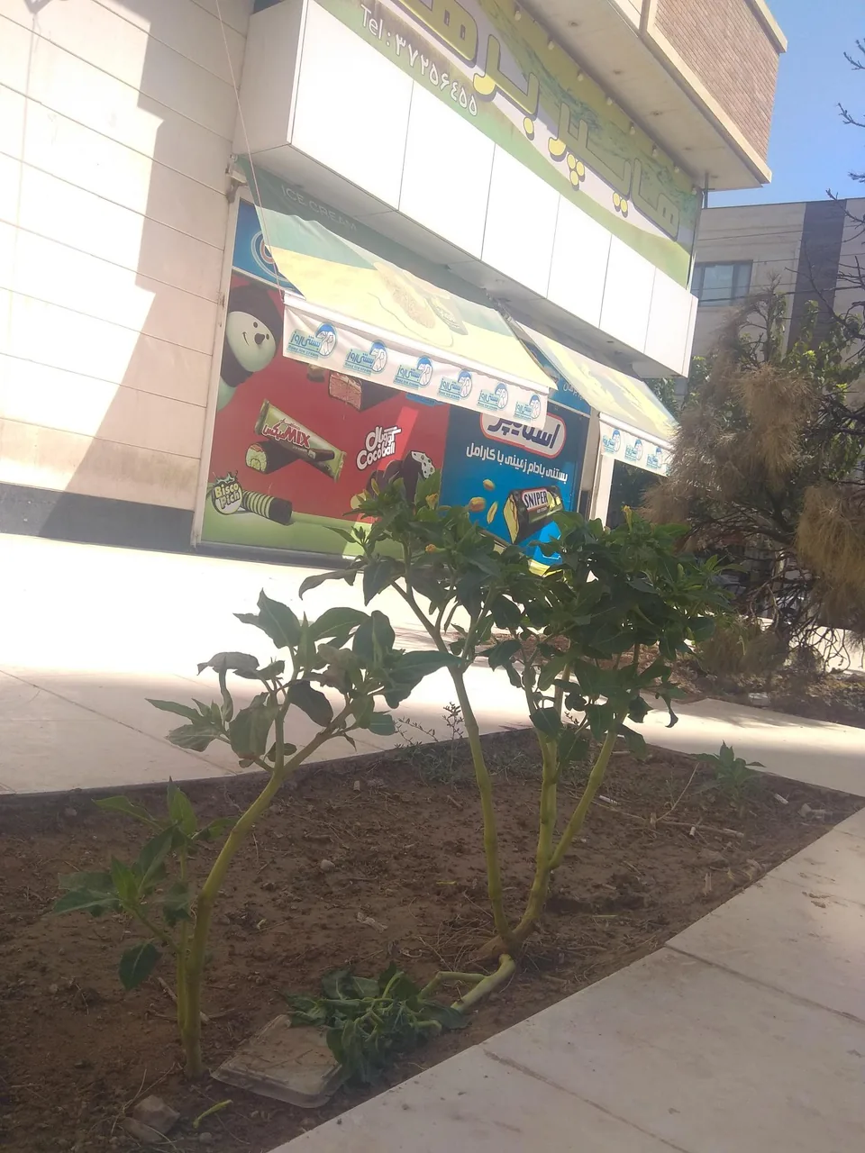 هایپر مارکت برهان - تصویر 4