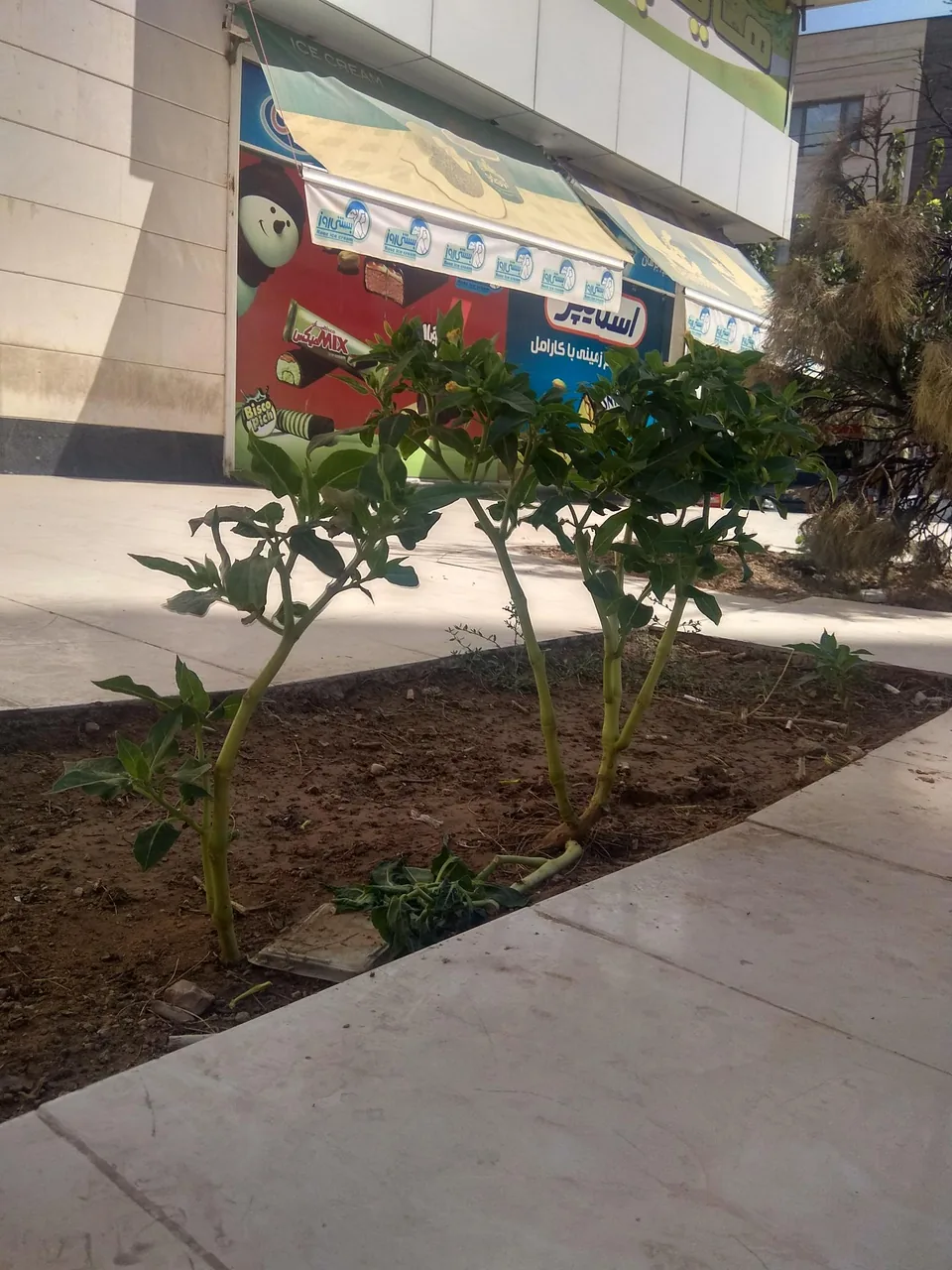 هایپر مارکت برهان - تصویر 5