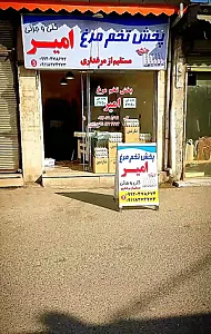 پخش تخم مرغ امیر