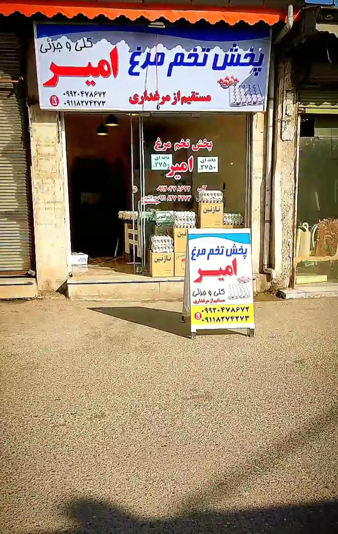 پخش تخم مرغ امیر