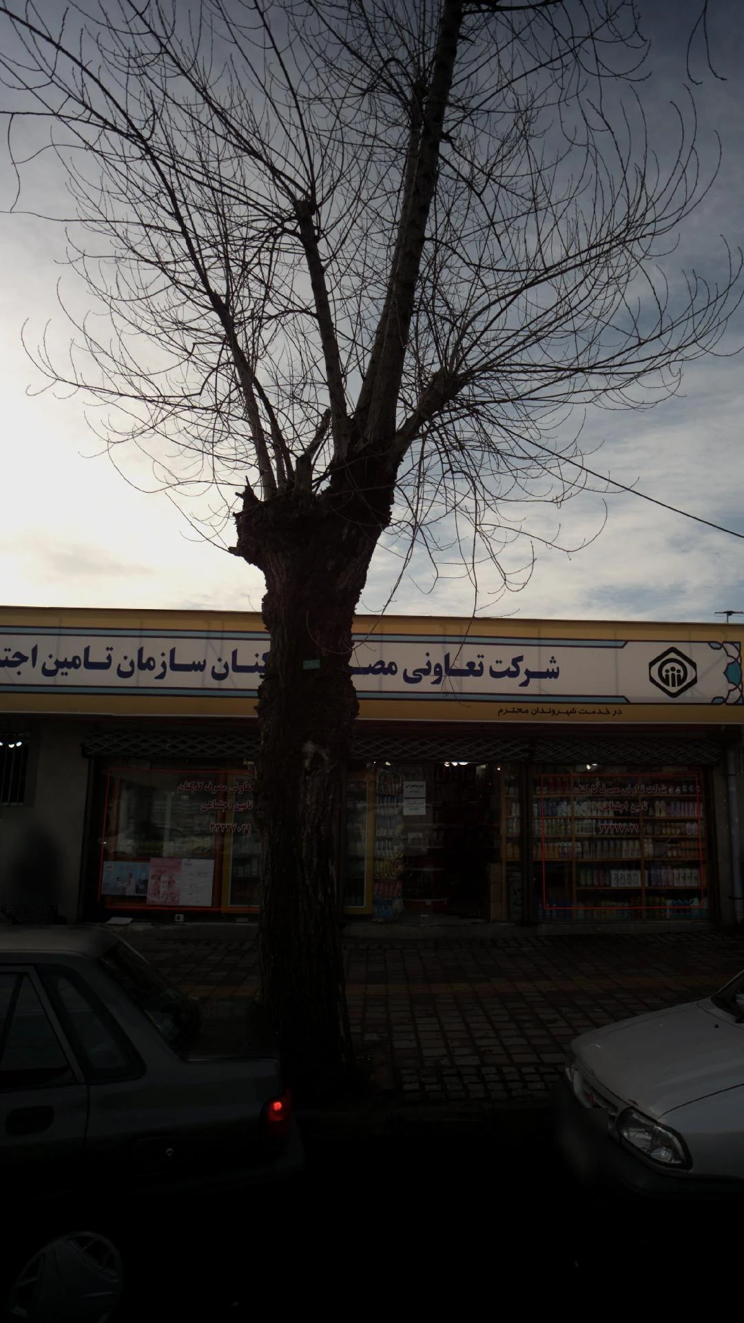 شرکت تعاونی مصرف کارکنان سازمان تامین اجتماعی