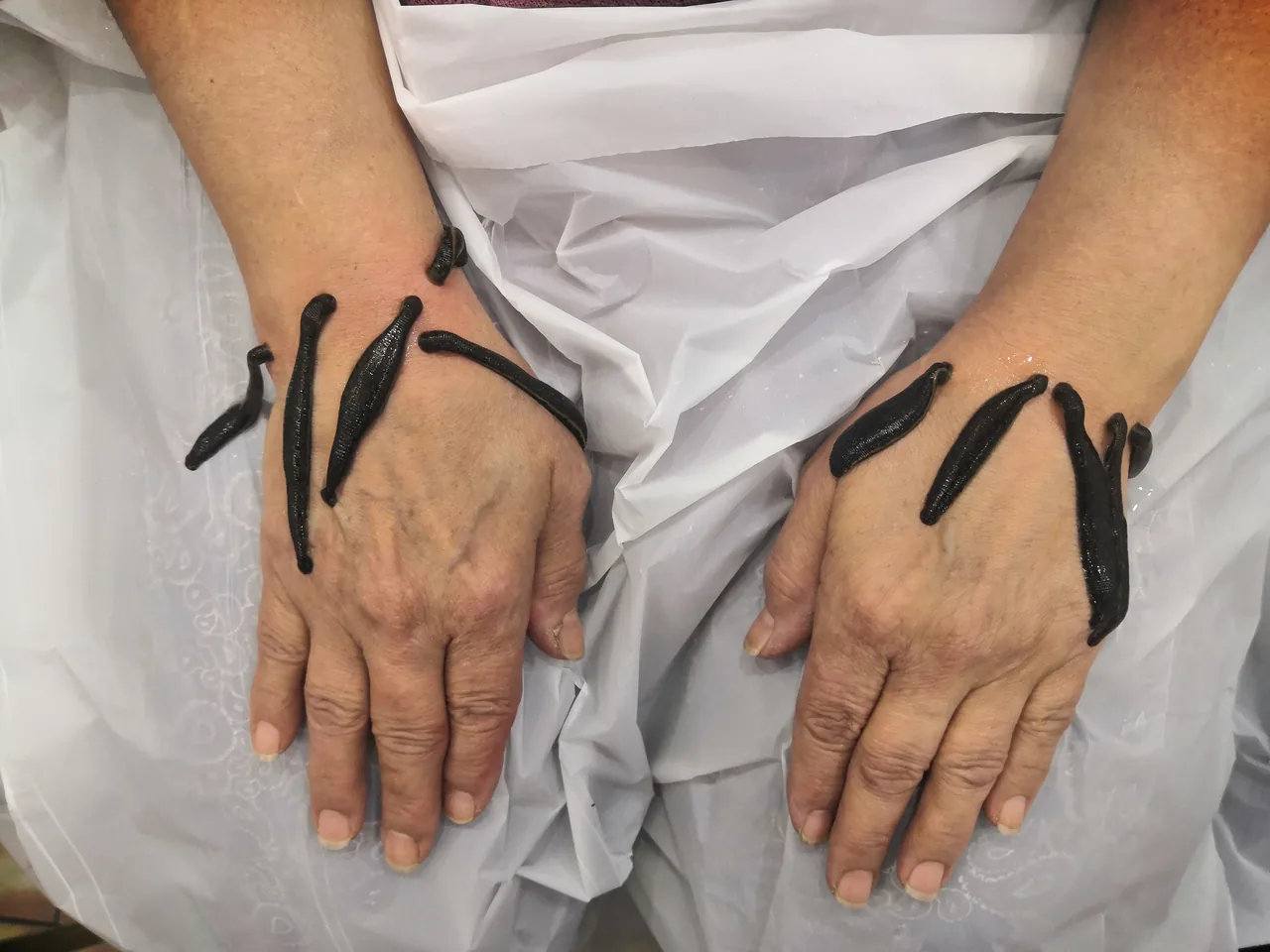 طب سنتی افرا - تصویر 4