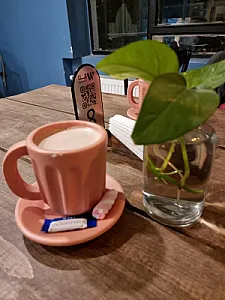 وین کافه