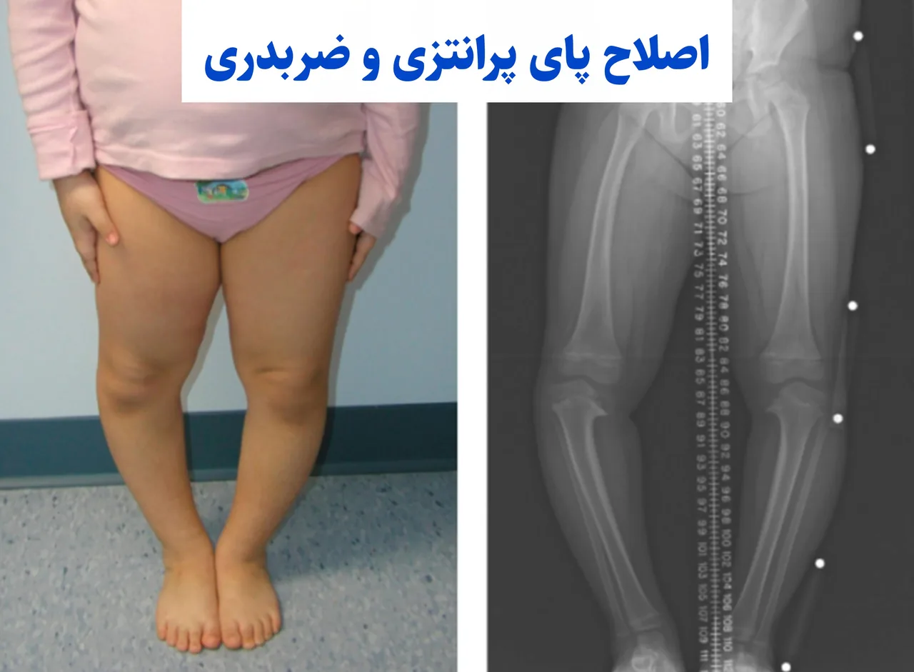 کلینیک توانبخشی کیاطب - تصویر 3