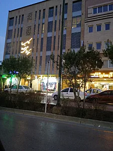کاملیا کرباسی