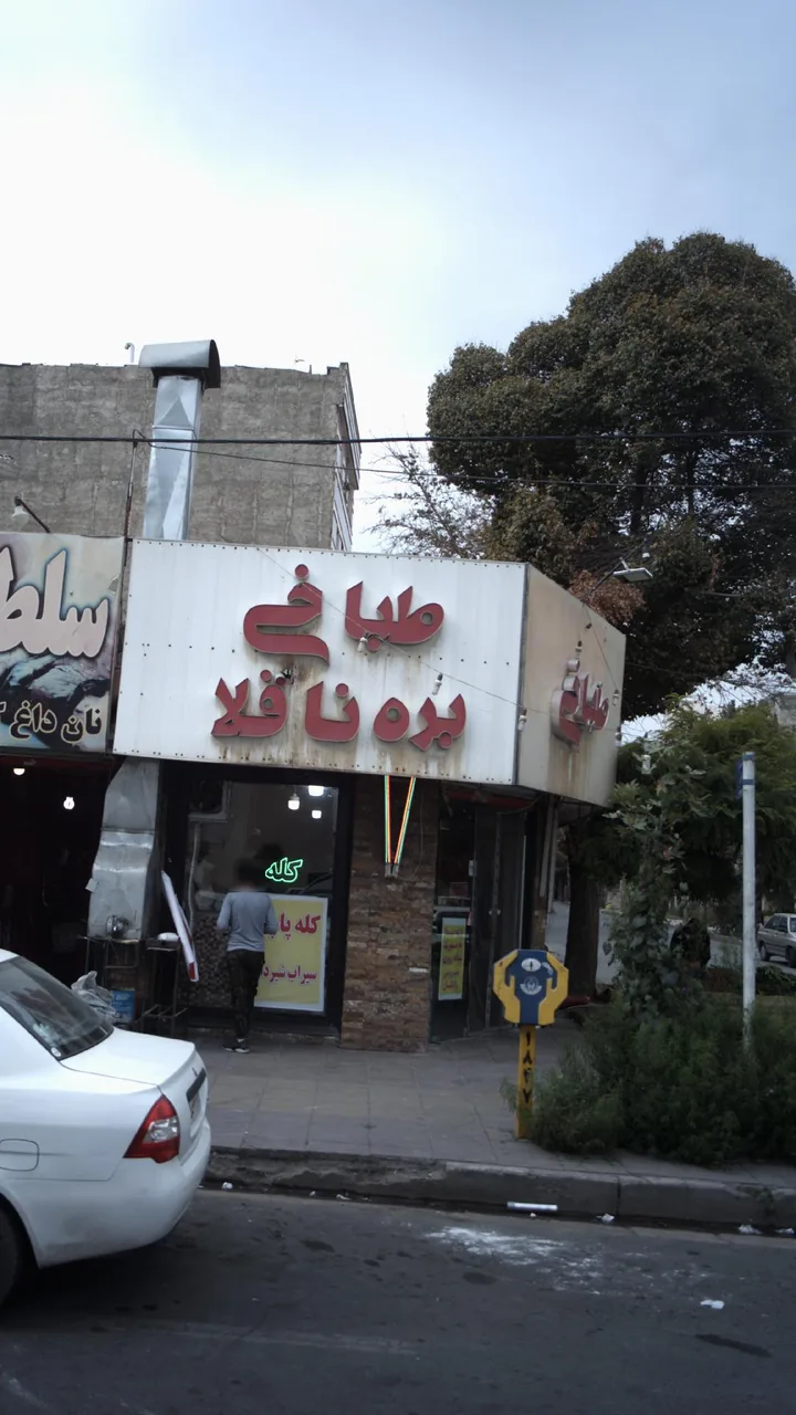 طباخی بره ناقلا - تصویر 2