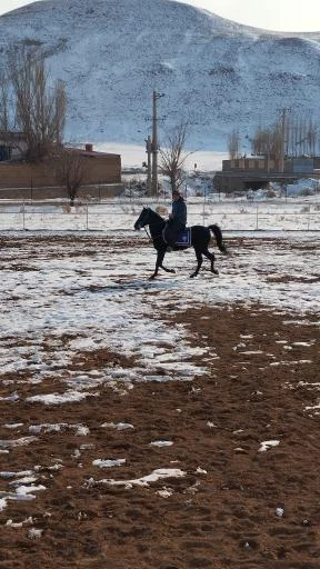 مجتمع سوارکاری دکتر ابراهیمی