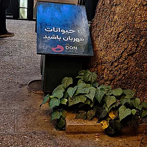 دن کافه Don cafe