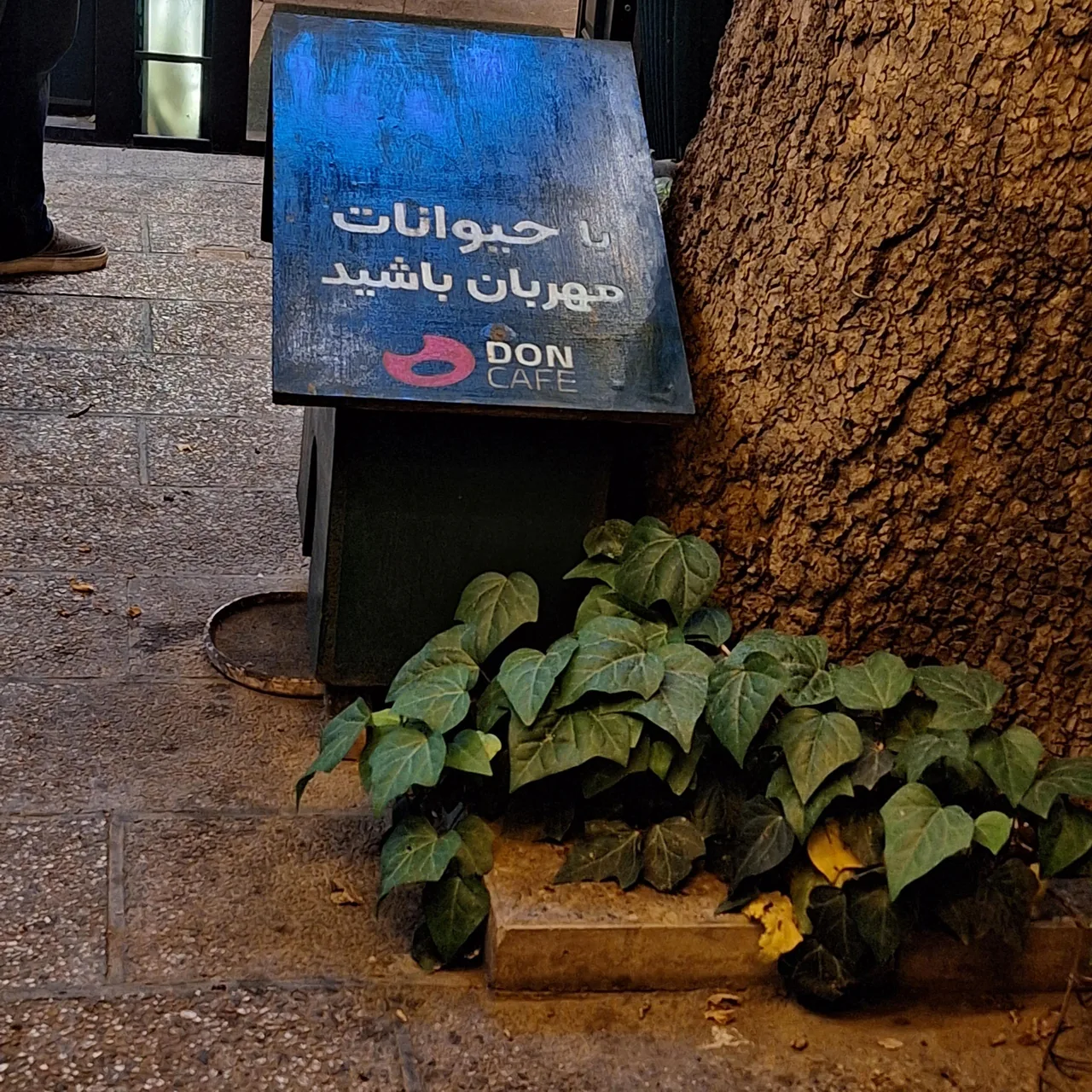 دن کافه Don cafe