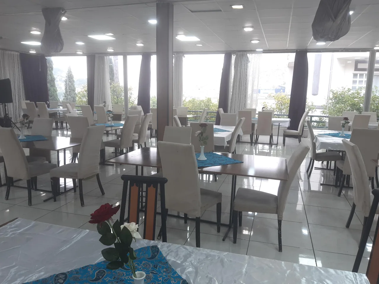 مجموعه پدیده
