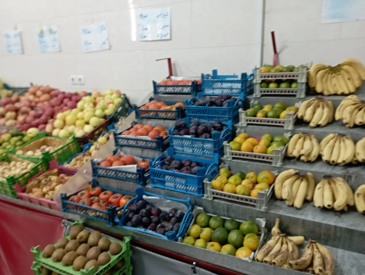 میوه سرای کوثر - تصویر 3
