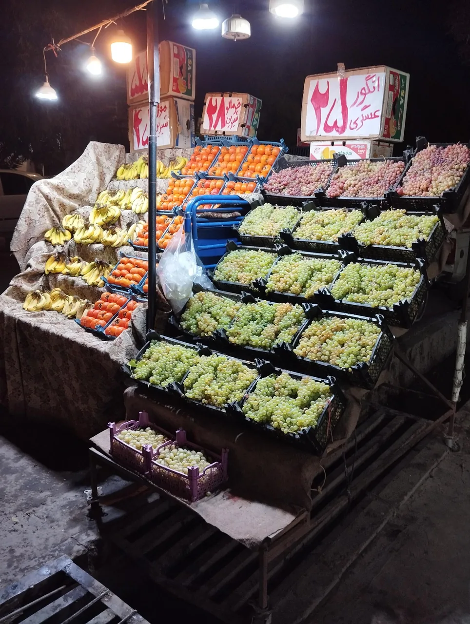 میوه فروشی سکه - تصویر 2