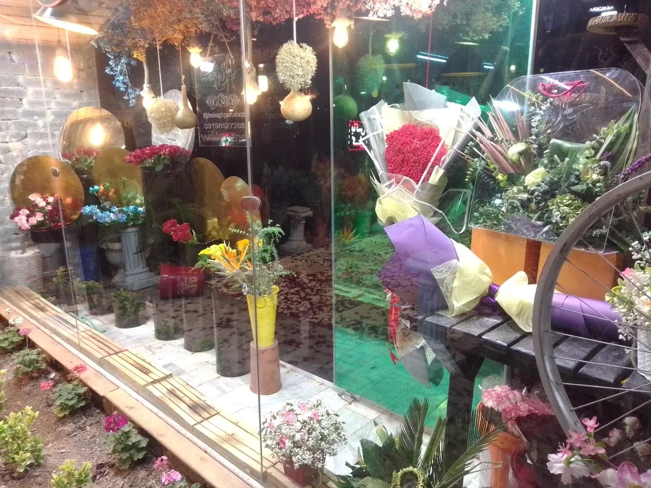 گل و گیاه نجمه - تصویر 3