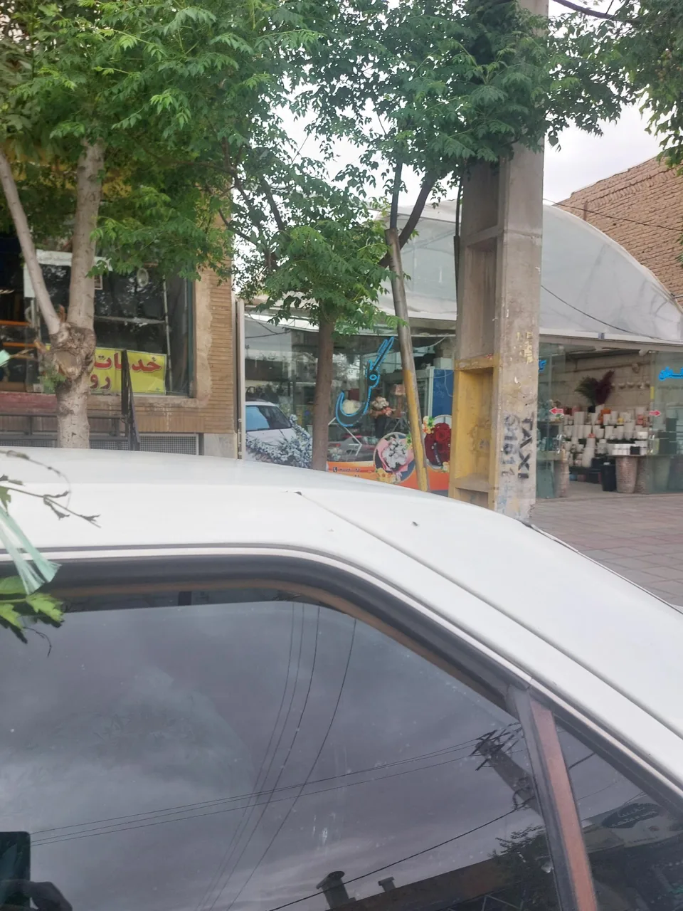 گلخانه هشت بهشت - تصویر 3