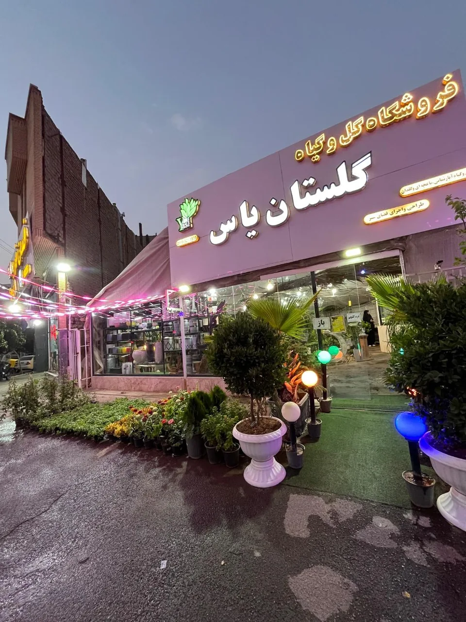 گلستان یاس