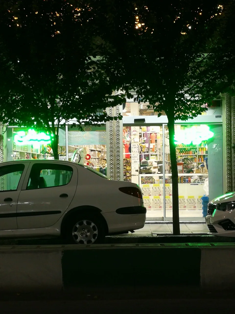 خرازی حقیقت - تصویر 2