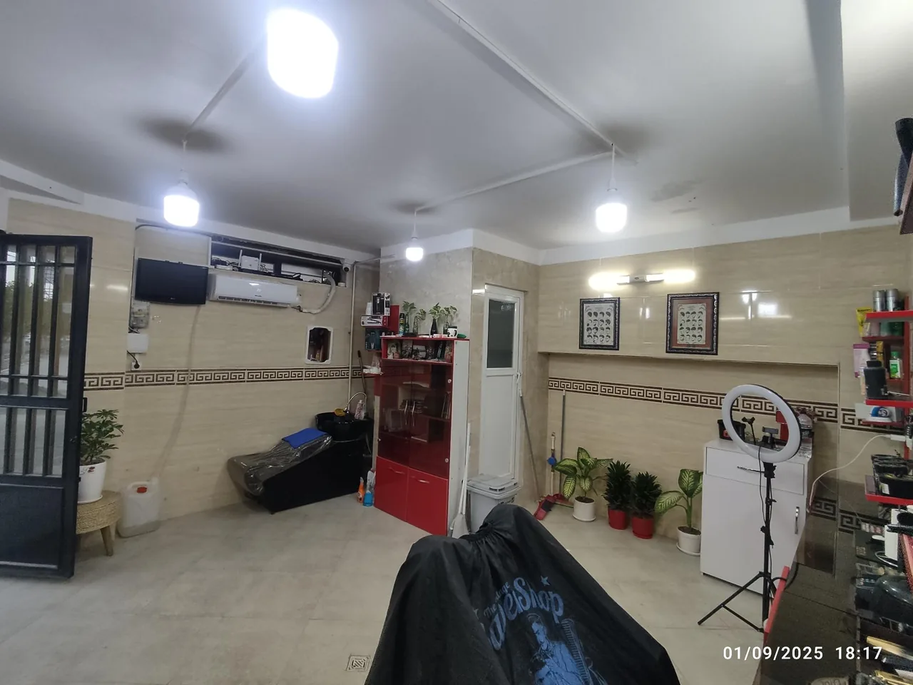 پیرایش امیر - تصویر 4
