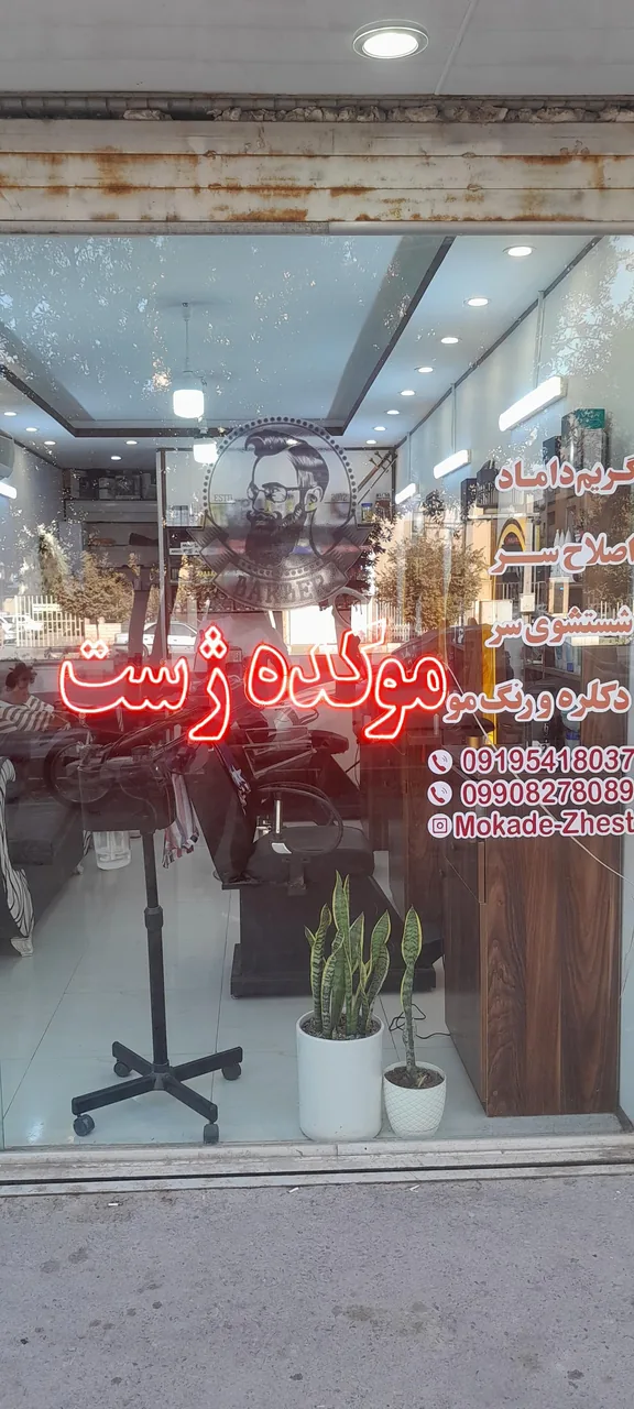 موکده ژست