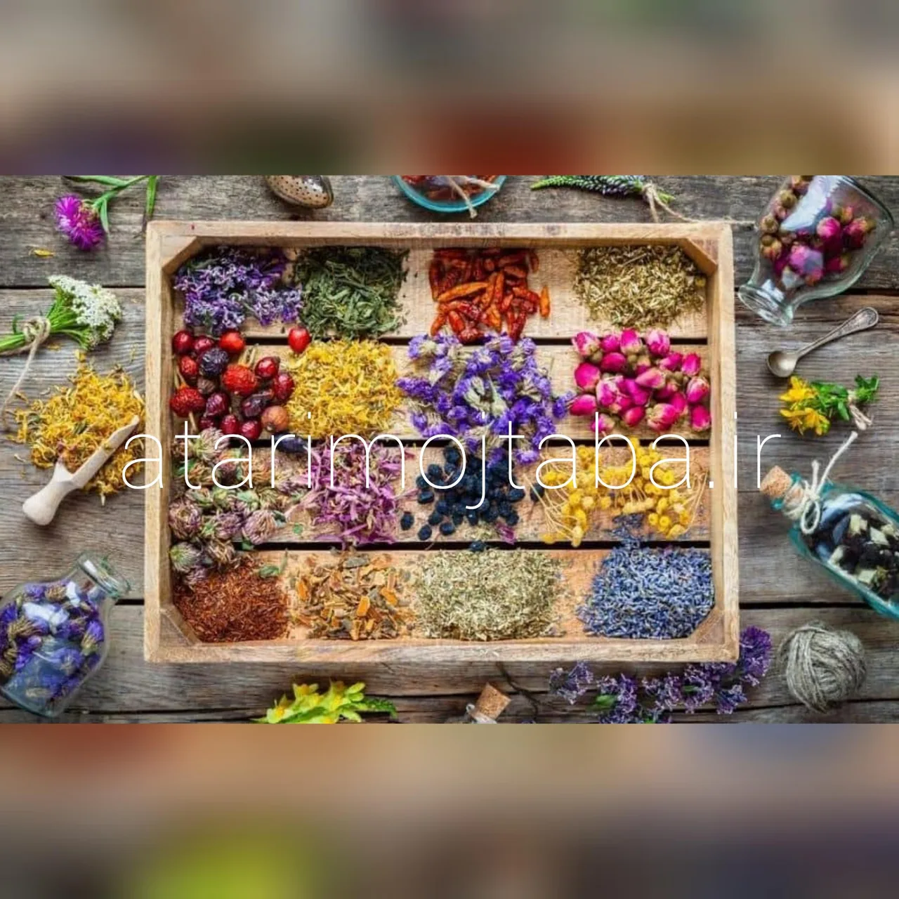عطاری آنلاین مجتبی محقق اصفهان - تصویر 3