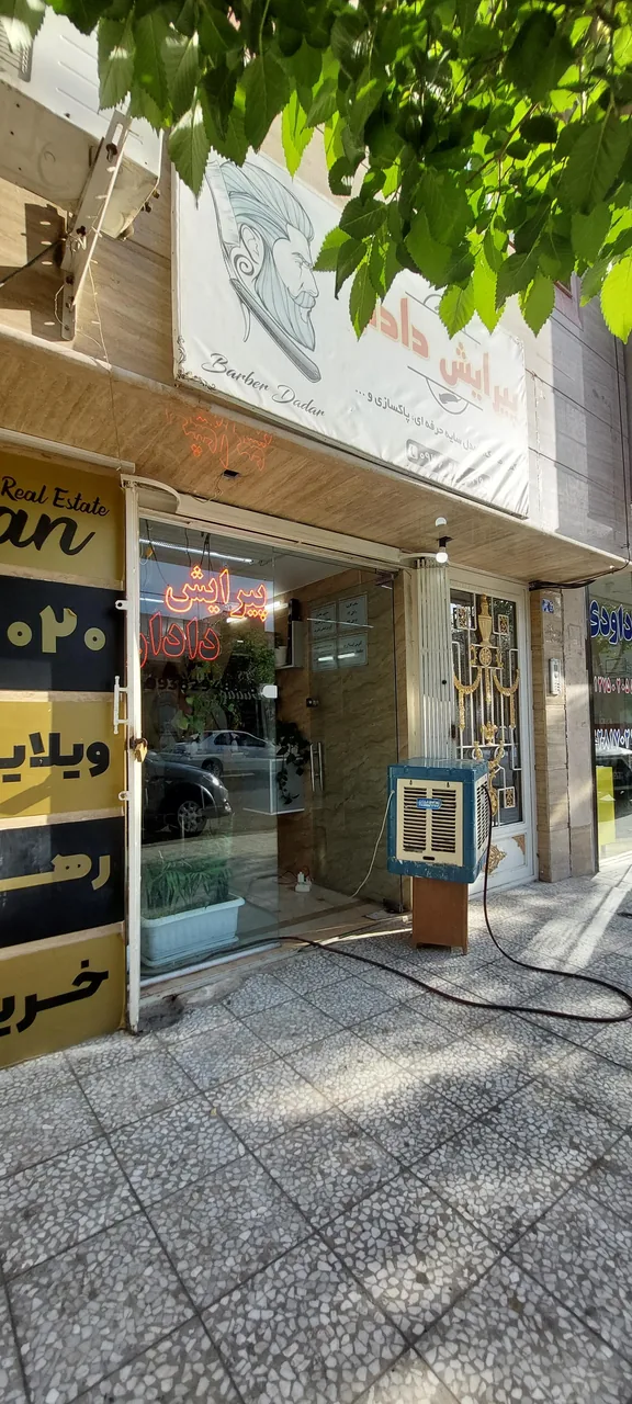 پیرایش دادار - تصویر 4