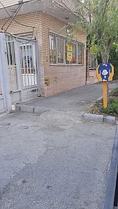 پیرایش علی