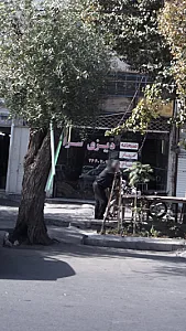 دیزی سرا