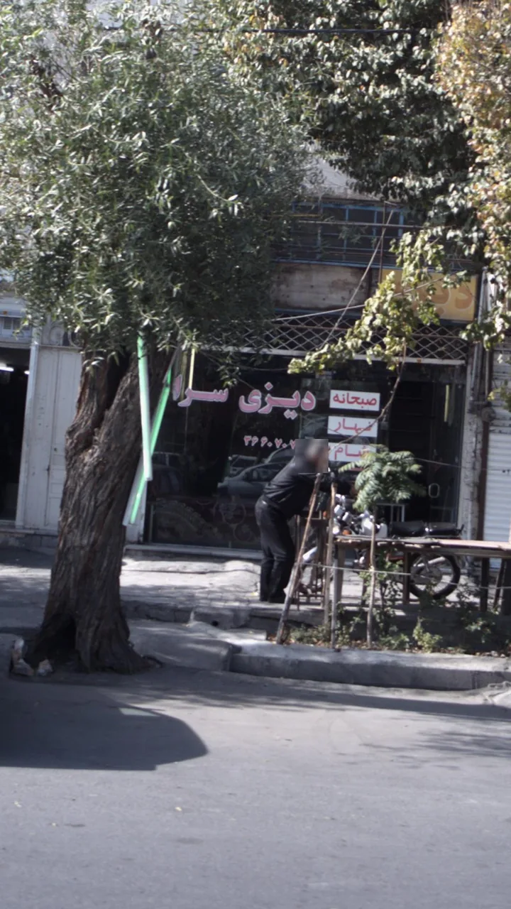 دیزی سرا
