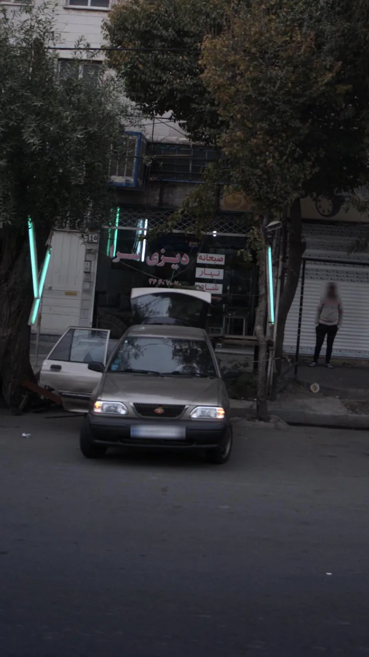 دیزی سرا - تصویر 2