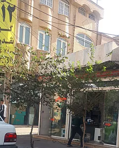 خدمات فنی تک