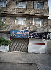 جوراب گینس