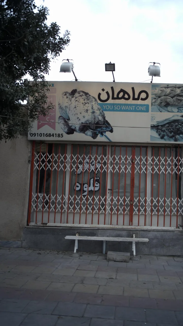 جگرکی ماهان