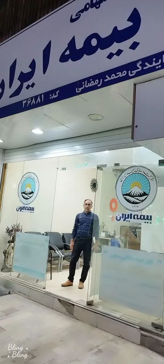 شرکت سهامی بیمه ایران - تصویر 3