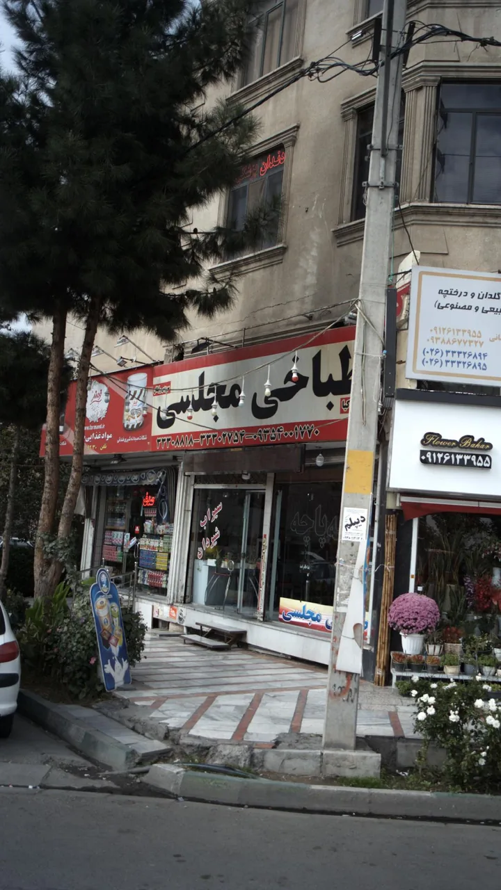 طباخی مجلسی - تصویر 2